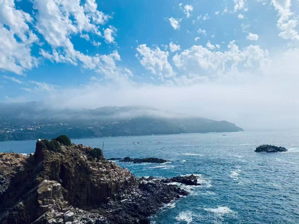 谷歌启动巨额融资计划,巴菲特接班人为何选择高位大举加仓